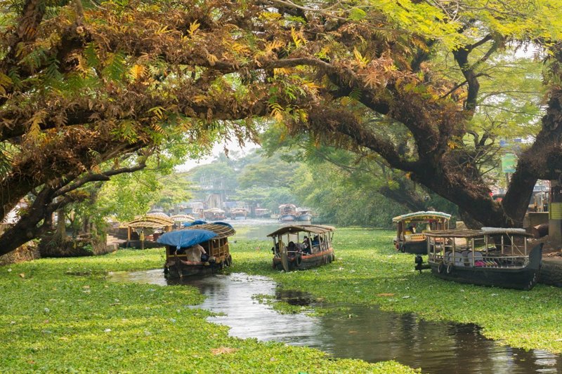 Boats in Alleppey 